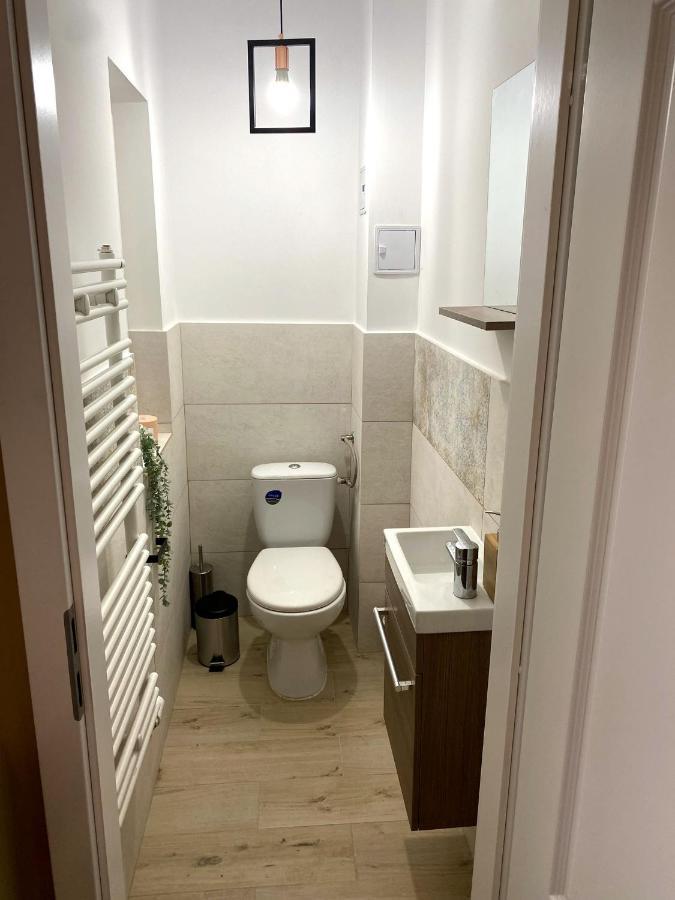 Asha Central Apartment Тімішоара Екстер'єр фото
